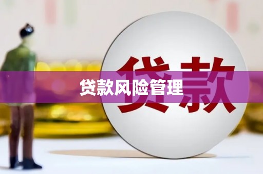 界首贷款风险管理