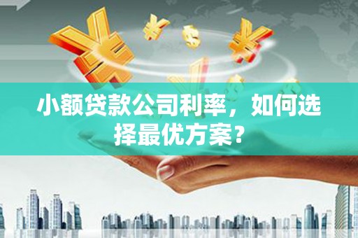 界首小额贷款公司利率，如何选择最优方案？