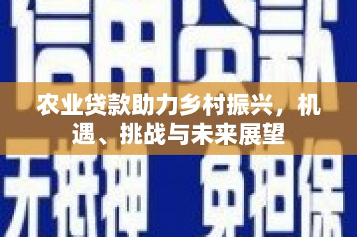界首农业贷款助力乡村振兴，机遇、挑战与未来展望