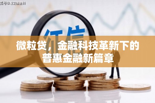 界首微粒贷，金融科技革新下的普惠金融新篇章
