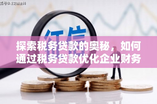 界首探索税务贷款的奥秘，如何通过税务贷款优化企业财务