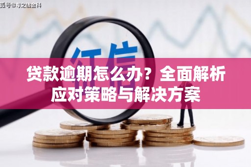 界首贷款逾期怎么办？全面解析应对策略与解决方案