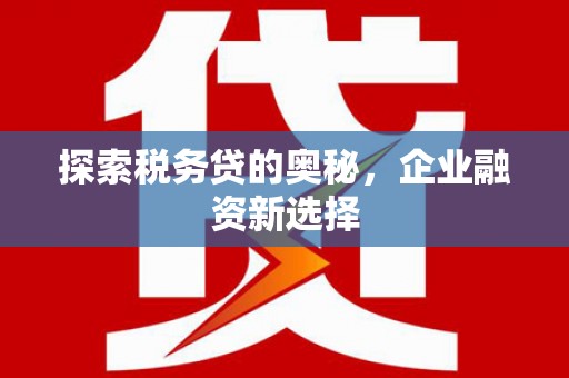界首探索税务贷的奥秘，企业融资新选择