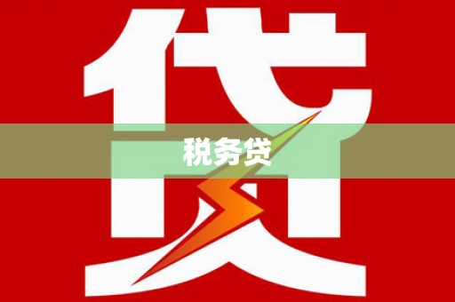 界首税务贷