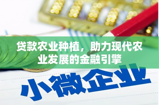 界首贷款农业种植，助力现代农业发展的金融引擎