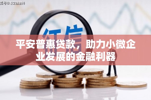 界首平安普惠贷款，助力小微企业发展的金融利器