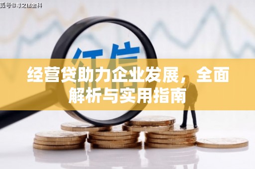 界首经营贷助力企业发展，全面解析与实用指南