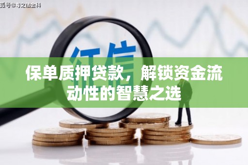 界首保单质押贷款，解锁资金流动性的智慧之选