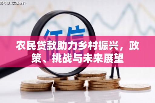界首农民贷款助力乡村振兴，政策、挑战与未来展望