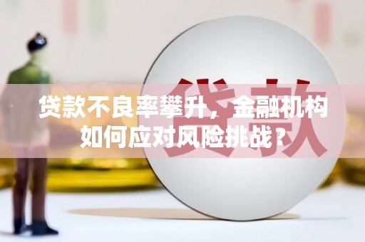 界首贷款不良率攀升，金融机构如何应对风险挑战？
