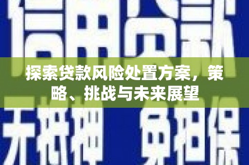 界首探索贷款风险处置方案，策略、挑战与未来展望