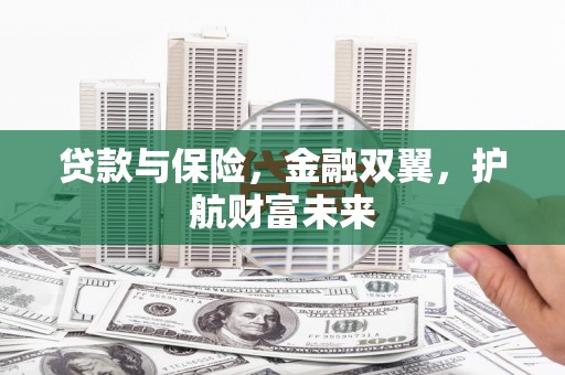 界首贷款与保险，金融双翼，护航财富未来