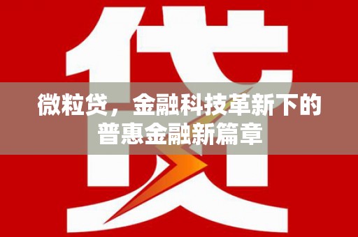 界首微粒贷，金融科技革新下的普惠金融新篇章
