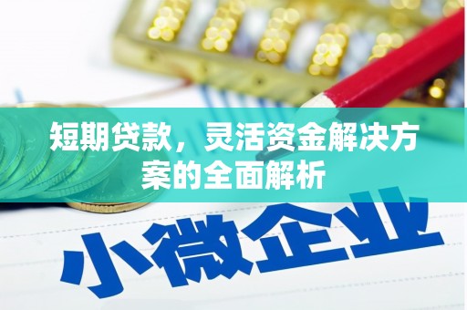 界首短期贷款，灵活资金解决方案的全面解析