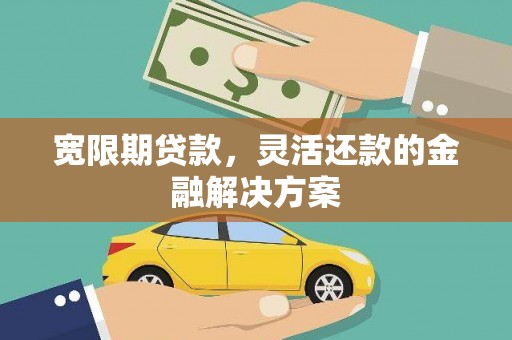 界首宽限期贷款，灵活还款的金融解决方案