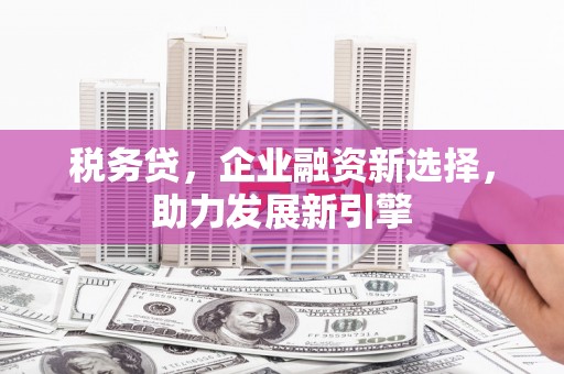 界首税务贷，企业融资新选择，助力发展新引擎