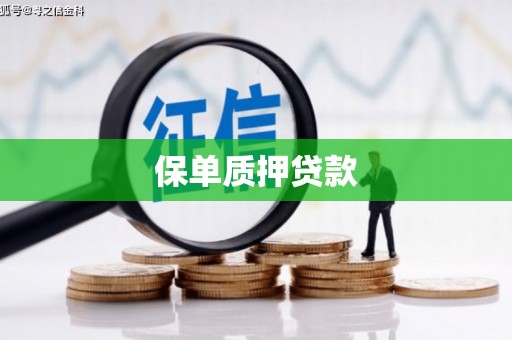 界首保单质押贷款