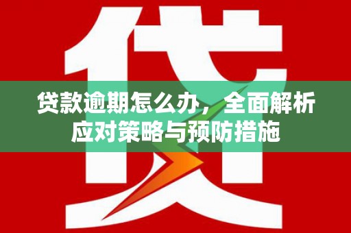界首贷款逾期怎么办，全面解析应对策略与预防措施