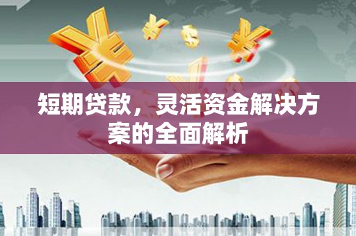 界首短期贷款，灵活资金解决方案的全面解析