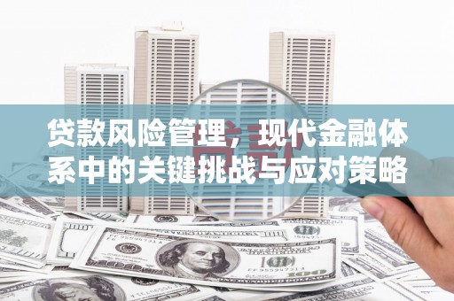 界首贷款风险管理，现代金融体系中的关键挑战与应对策略