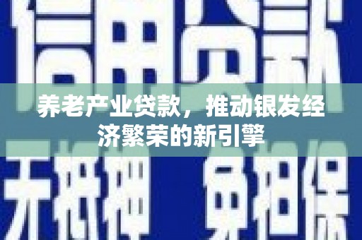 界首养老产业贷款，推动银发经济繁荣的新引擎
