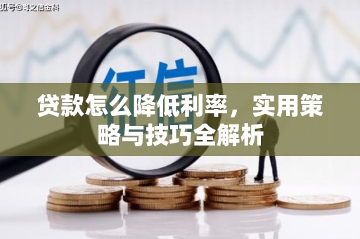 界首贷款怎么降低利率，实用策略与技巧全解析