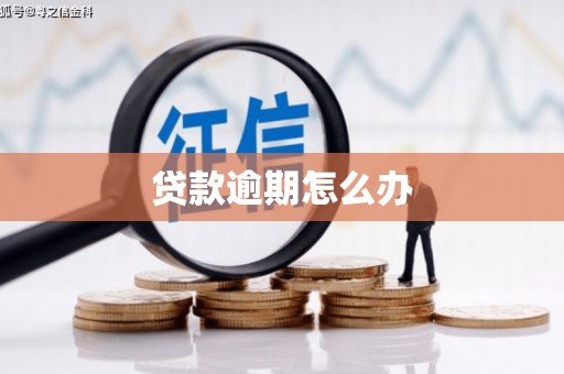 界首贷款逾期怎么办
