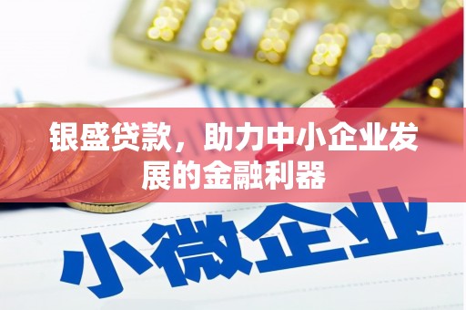 界首银盛贷款，助力中小企业发展的金融利器