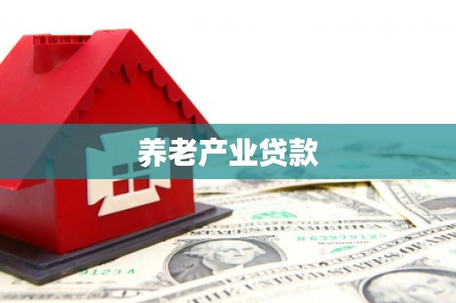 界首养老产业贷款