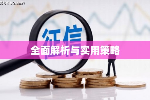 界首全面解析与实用策略