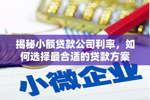 界首揭秘小额贷款公司利率，如何选择最合适的贷款方案