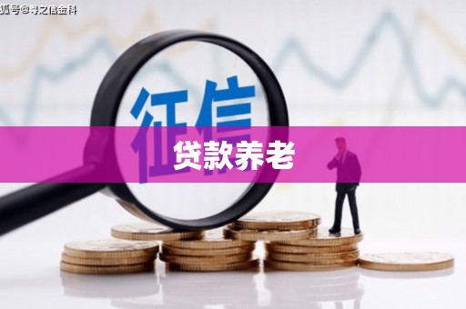 界首贷款养老