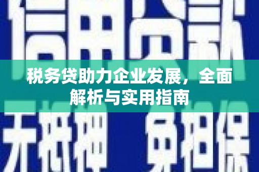 界首税务贷助力企业发展，全面解析与实用指南