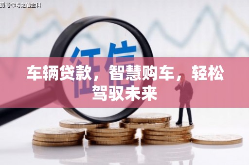 界首车辆贷款，智慧购车，轻松驾驭未来