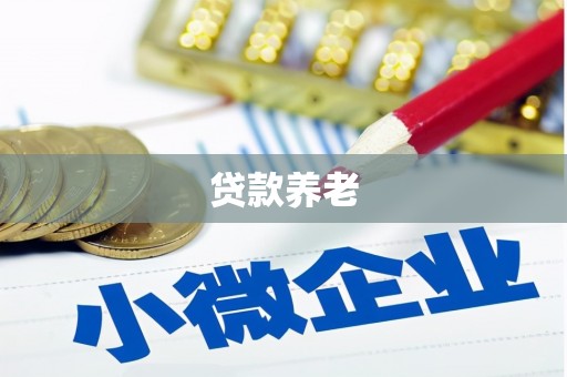 界首贷款养老