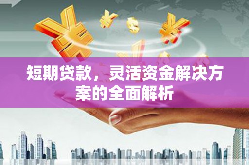 界首短期贷款，灵活资金解决方案的全面解析