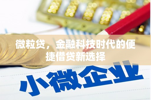 界首微粒贷，金融科技时代的便捷借贷新选择