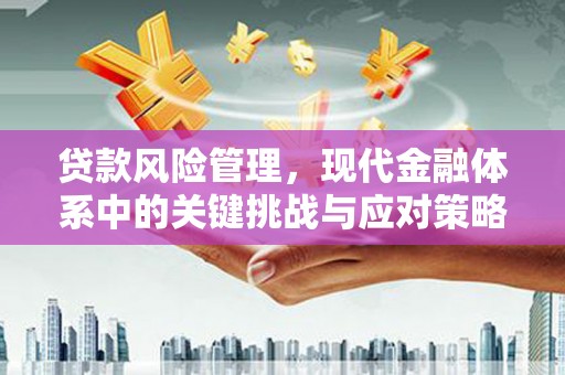 界首贷款风险管理，现代金融体系中的关键挑战与应对策略