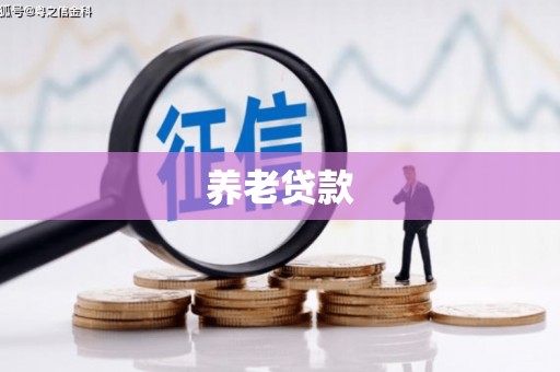 界首养老贷款