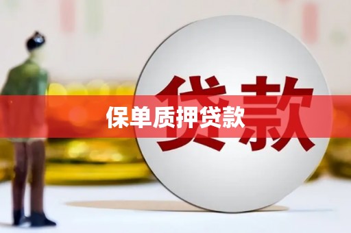 界首保单质押贷款