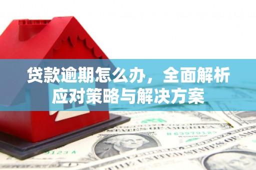 界首贷款逾期怎么办，全面解析应对策略与解决方案