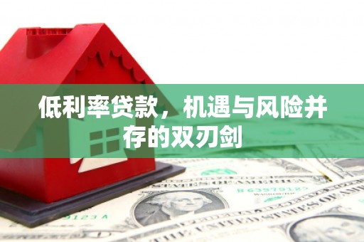 界首低利率贷款，机遇与风险并存的双刃剑
