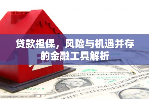 界首贷款担保，风险与机遇并存的金融工具解析