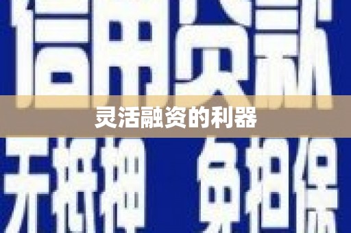 界首灵活融资的利器