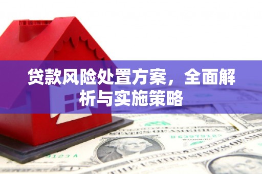 界首贷款风险处置方案，全面解析与实施策略