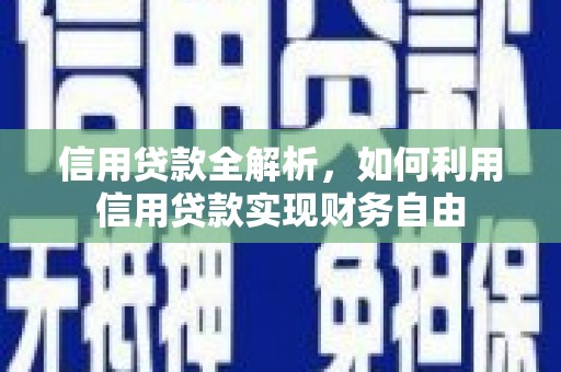 界首信用贷款全解析，如何利用信用贷款实现财务自由