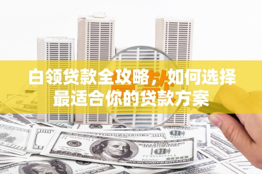 界首白领贷款全攻略，如何选择最适合你的贷款方案